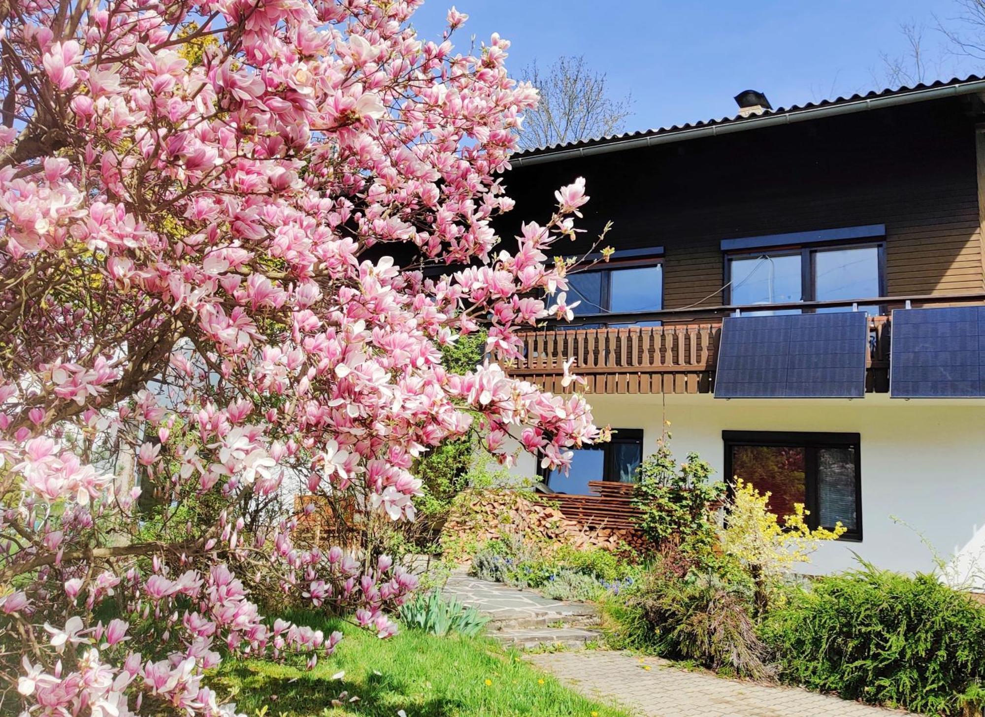 Wellness Apartment Keutschach Lakes Valley Keutschach am See Exterior photo